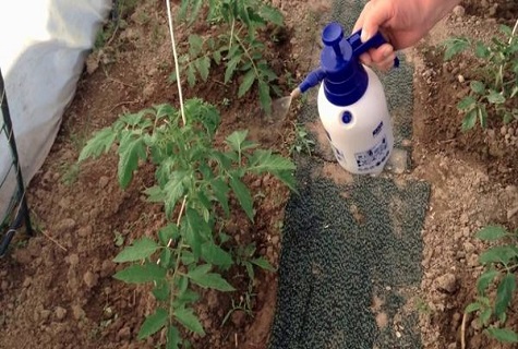 fertiliser les légumes