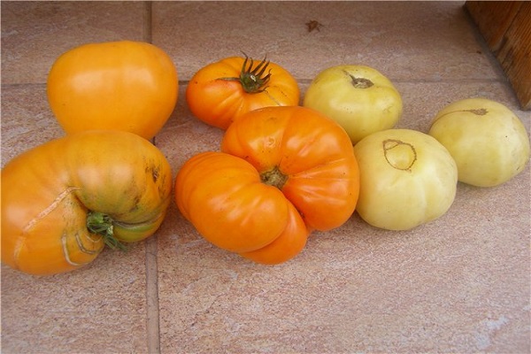 mélange de légumes