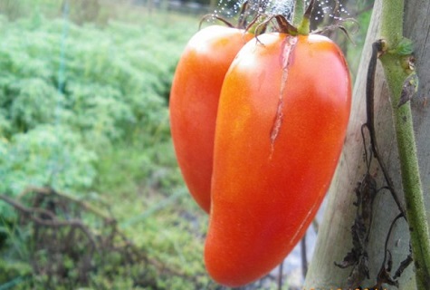 carámbanos rojos