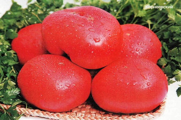 pemeluwapan pada tomato