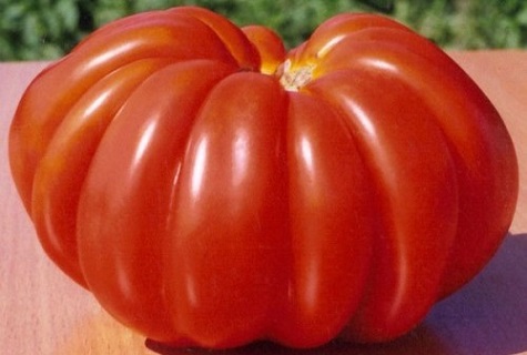 sandia roja