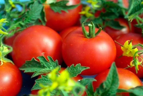 cristal de tomate