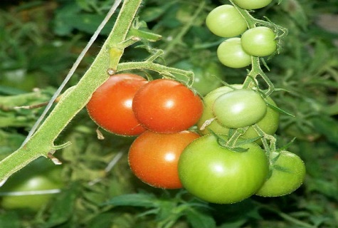 vert et rouge