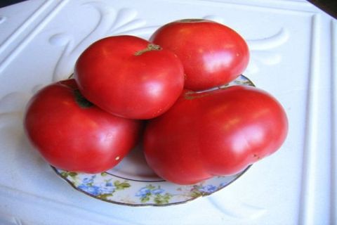 tomates dans un vase