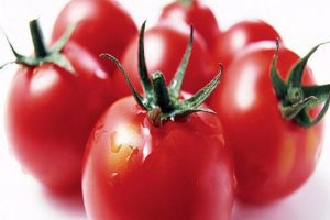 Características y descripción de la variedad de tomate Mishka pie zambo, características de su cultivo.