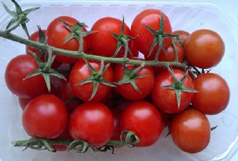 tomato in plastic