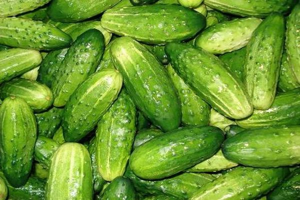 pickled cucumbers