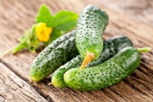 Cultivation, characteristics and description of the cucumber variety Parisian gherkin