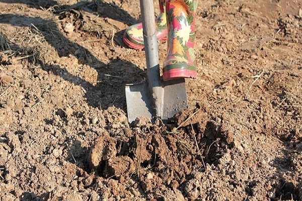 soil for planting