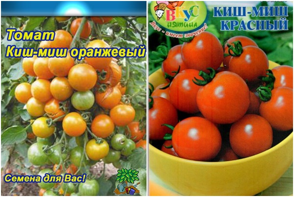 tomato seeds Kish mish