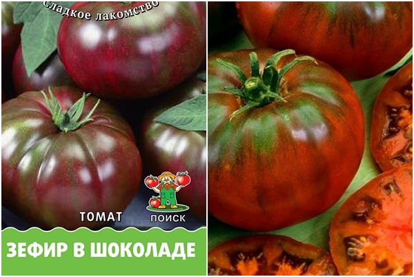 Graines de tomates Guimauve au chocolat