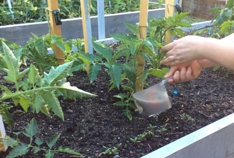 watering plants