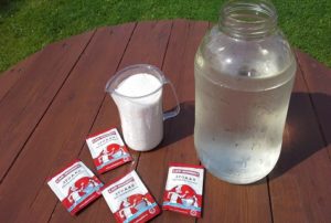 How to feed cucumbers with yeast in a greenhouse and open field