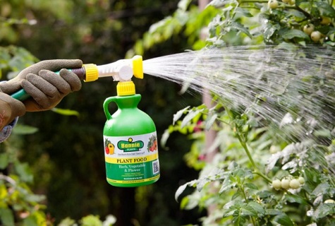 watering from a spray bottle