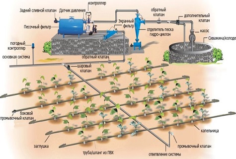 organization of irrigation