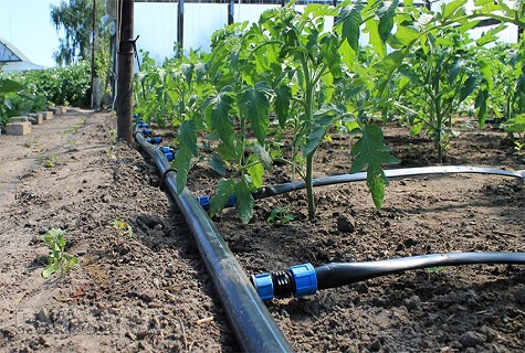 instalación de tubería