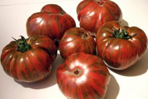 Penerangan dan ciri-ciri pelbagai jenis coklat Striped tomato, hasilnya