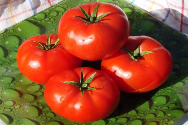 tomates contra enfermedades