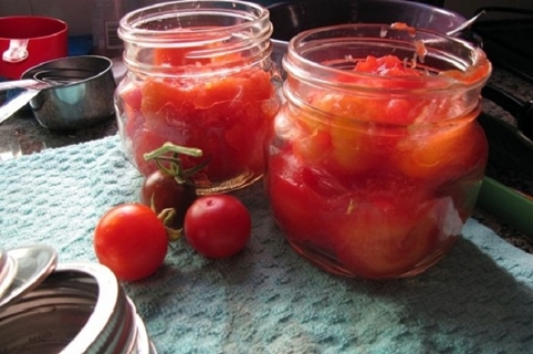 peeled tomatoes in their own juice