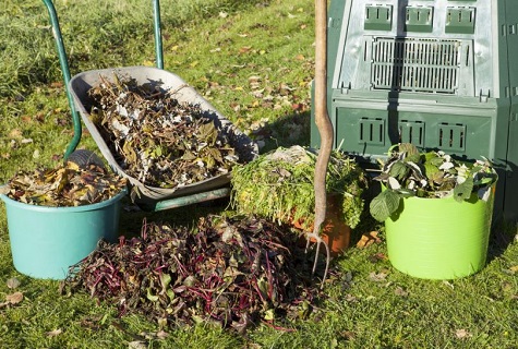 buckets and grass