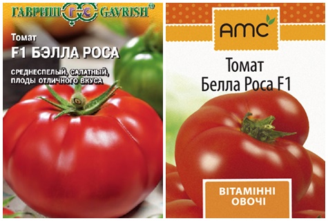 biji tomato bella embun