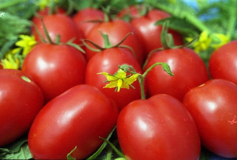 verduras de pascua