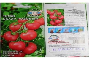 Ciri-ciri dan perihalan varieti tomato Gula perang, hasil