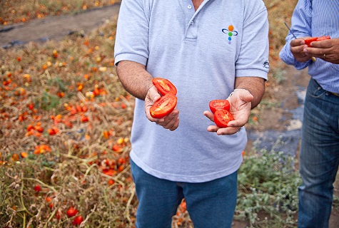 agriculteurs sur le terrain