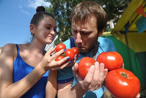 odeur de tomate