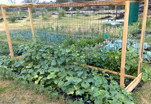 zelfgemaakt latwerk voor de tuin