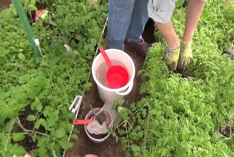 trabajar en el jardín