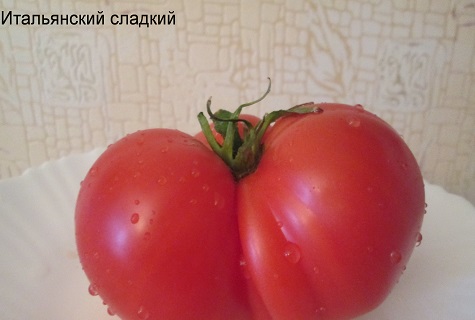 énorme tomate