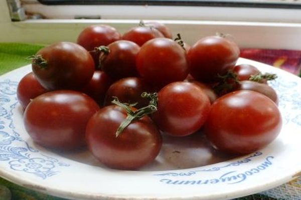 tomate noire cerise