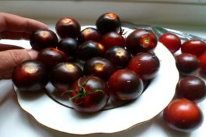 Caractéristiques et description de la variété de tomate cerise noire, rendement