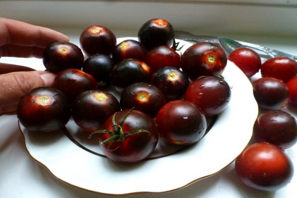 douceur de la tomate