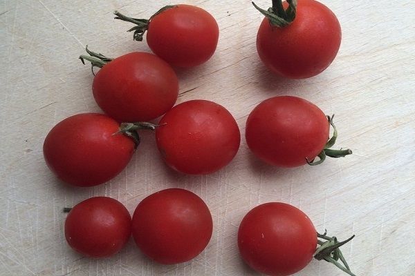 Ripe tomatoes