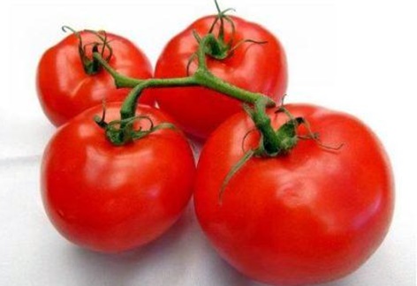 tomato Catherine di atas meja