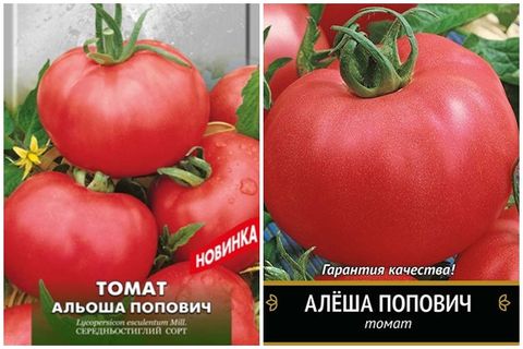 description de la variété de tomate