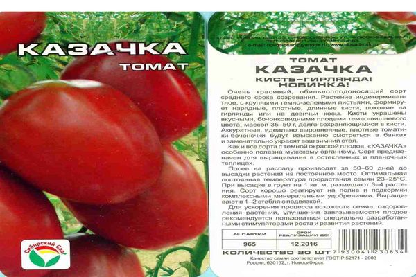 graines de tomate kazachka