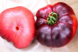 Ciri-ciri varieti tomato Azure Giant dan Early Giant, ulasan dan hasil