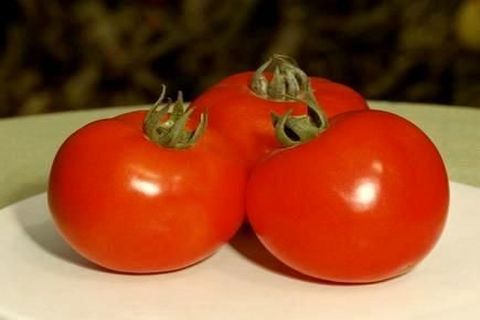 tomato on a plate