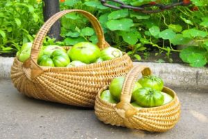 Descripción y características de las variedades de tomate verde.