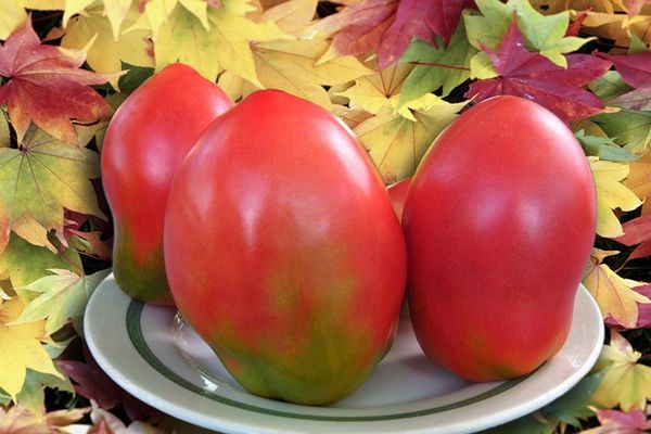 tomate sur une assiette