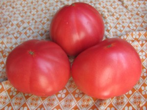 tomate préférée sur la table