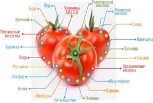 What vitamins are found in tomatoes and how are they useful?