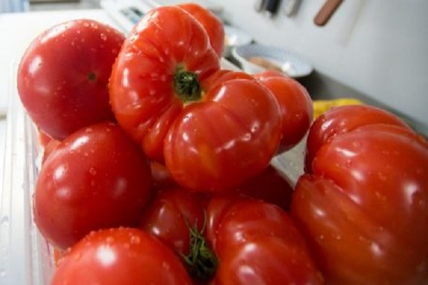 presidential tomato