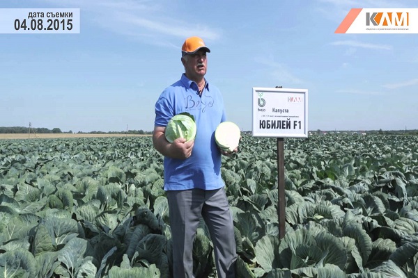 hombre en el campo