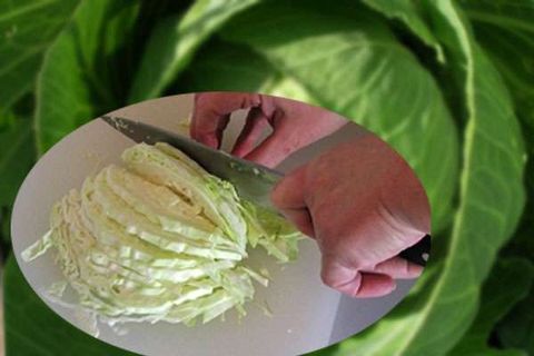 shredded cabbage