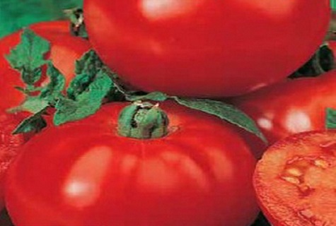 tomato still life