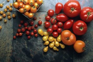 Les meilleures variétés de graines de tomates en pleine terre dans la région de Rostov